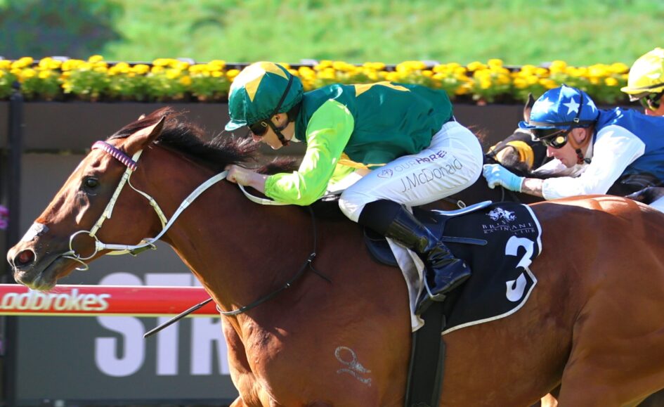 Jockeys in green, blue, and yellow silks race a brown horse at full speed on a track.