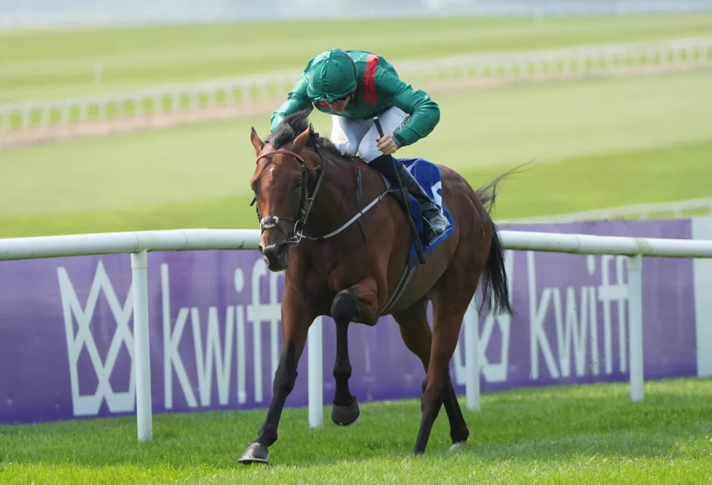 Jockey in green racing silks on a brown horse jumping a hurdle on a grassy race track, with a purple railing in the background.