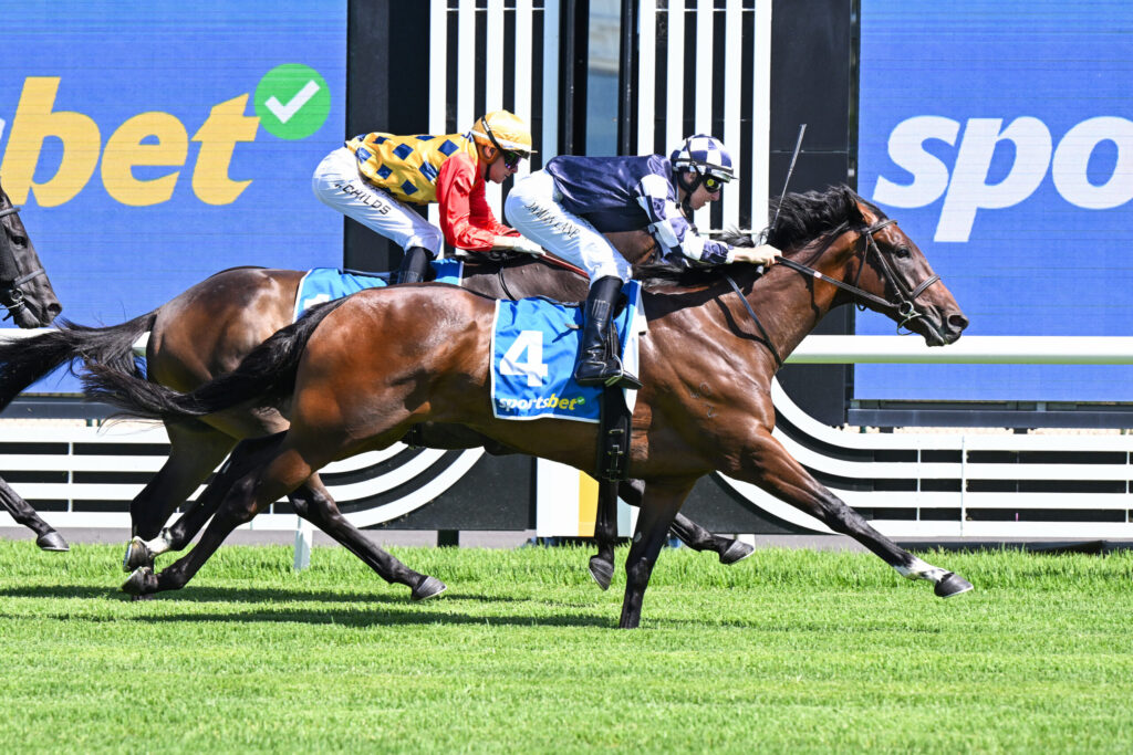 Three jockeys in bright silks ride racing horses at full speed on a grass track, with a blue sponsor board in the background.