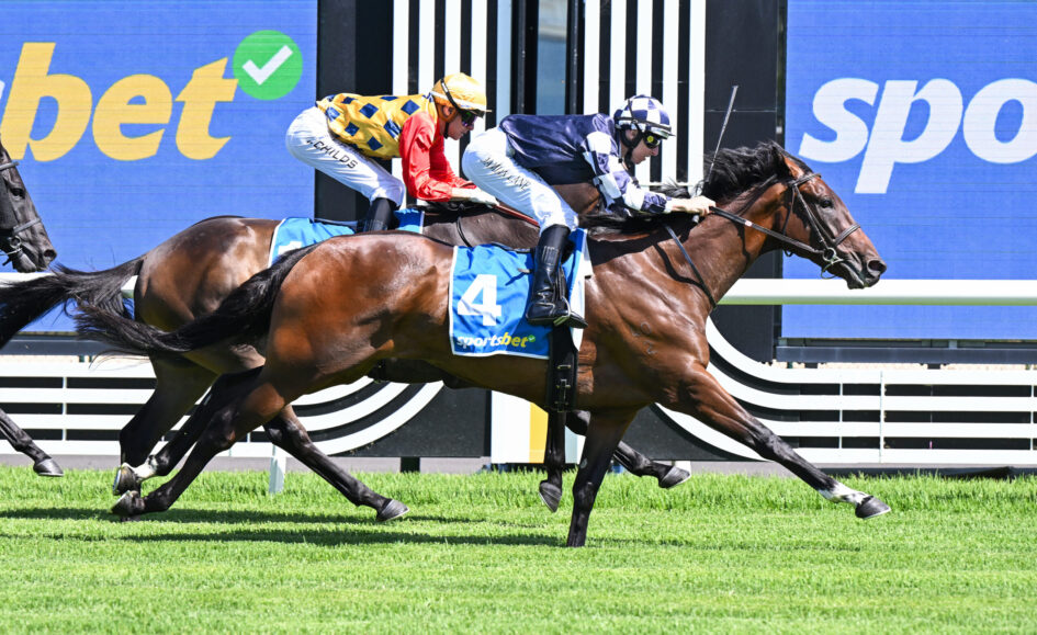 Three jockeys in bright silks ride racing horses at full speed on a grass track, with a blue sponsor board in the background.