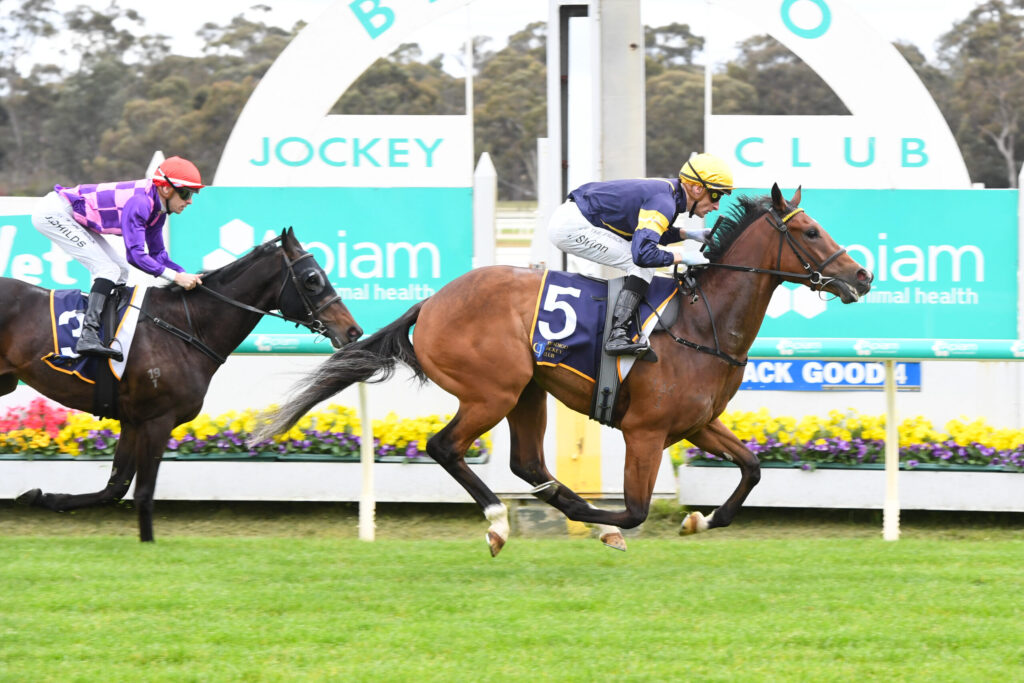 Two jockeys ride fast horses in a race at a track; lead horse wears number 5 with blue and yellow silks, opponent in purple ahead of green turf.