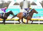 Two jockeys ride fast horses in a race at a track; lead horse wears number 5 with blue and yellow silks, opponent in purple ahead of green turf.