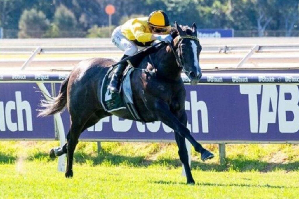 Jockey in yellow racing silks riding a dark horse at full gallop on a racetrack