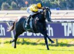 Jockey in yellow racing silks riding a dark horse at full gallop on a racetrack