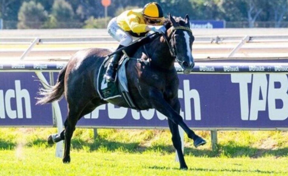 Jockey in yellow racing silks riding a dark horse at full gallop on a racetrack