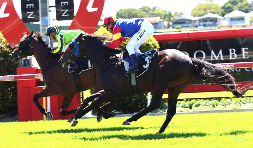 Three jockeys on galloping horses jump a red rail during a daytime horse race.