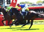 Three jockeys on galloping horses jump a red rail during a daytime horse race.