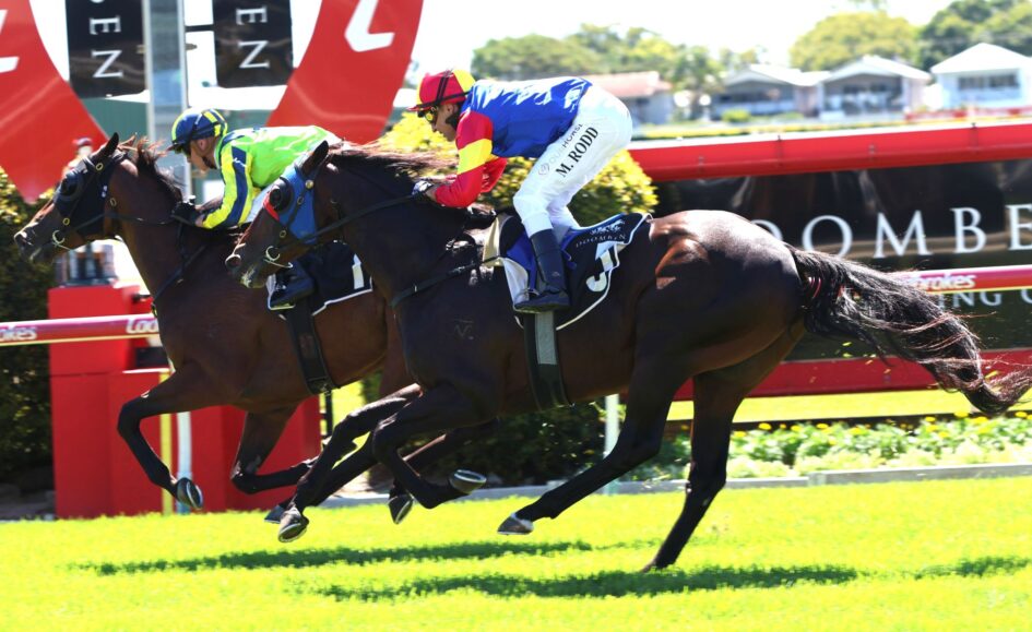 Three jockeys on galloping horses jump a red rail during a daytime horse race.