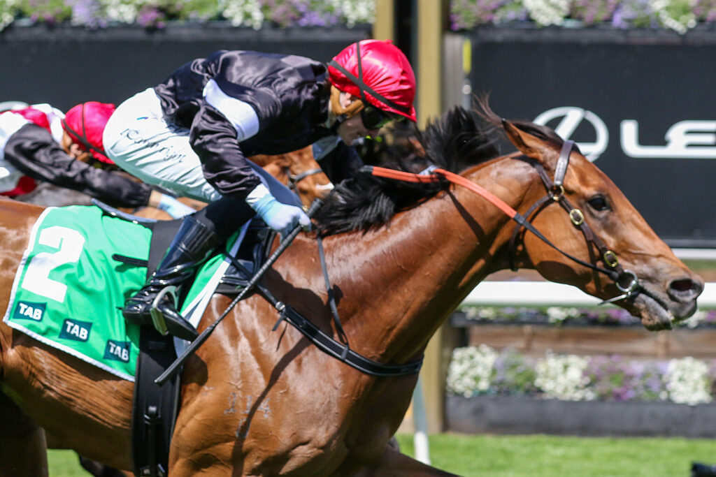 Jockey in red helmet leaning forward on a brown horse during a race, green saddlecloth with TAB logos visible and a second horse nearby.