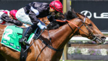 Jockey in red helmet leaning forward on a brown horse during a race, green saddlecloth with TAB logos visible and a second horse nearby.
