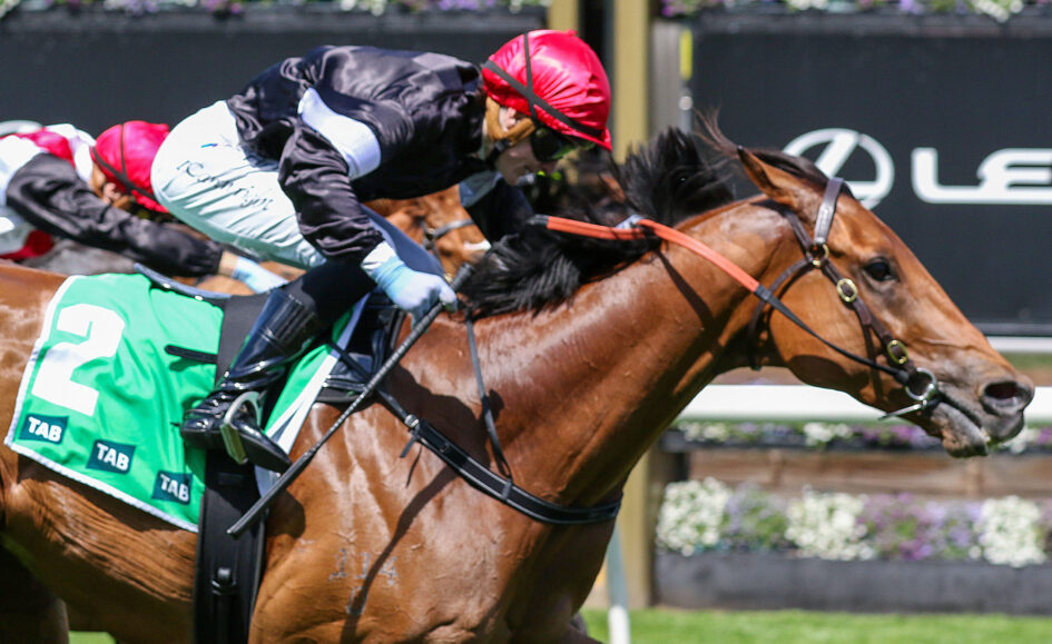 Jockey in red helmet leaning forward on a brown horse during a race, green saddlecloth with TAB logos visible and a second horse nearby.