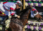 Jockey in white and red silks leans forward on a dark brown horse during a race, helmet and goggles on, flowers in the background.