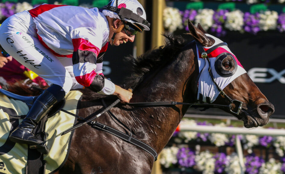 Jockey in white and red silks leans forward on a dark brown horse during a race, helmet and goggles on, flowers in the background.
