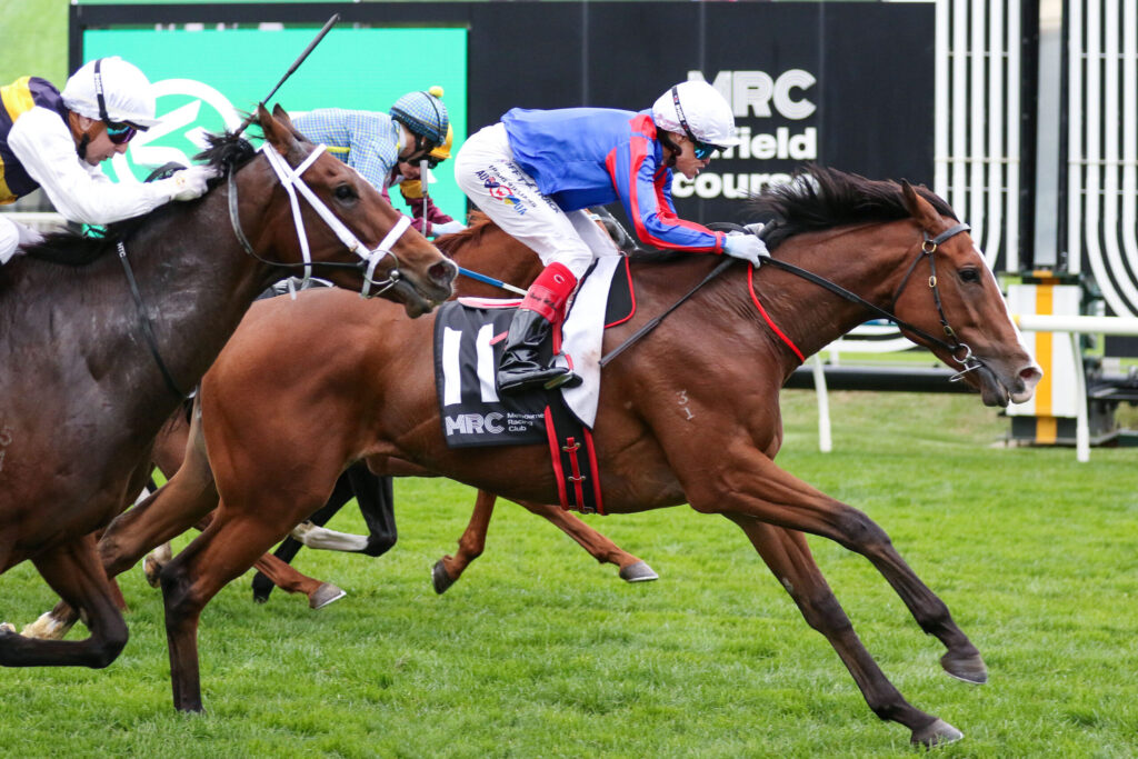 Thoroughbred racehorses and jockeys sprint on a green turf track, close-up of a chestnut horse in the lead with a rider in blue and red silks behind.