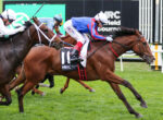 Thoroughbred racehorses and jockeys sprint on a green turf track, close-up of a chestnut horse in the lead with a rider in blue and red silks behind.