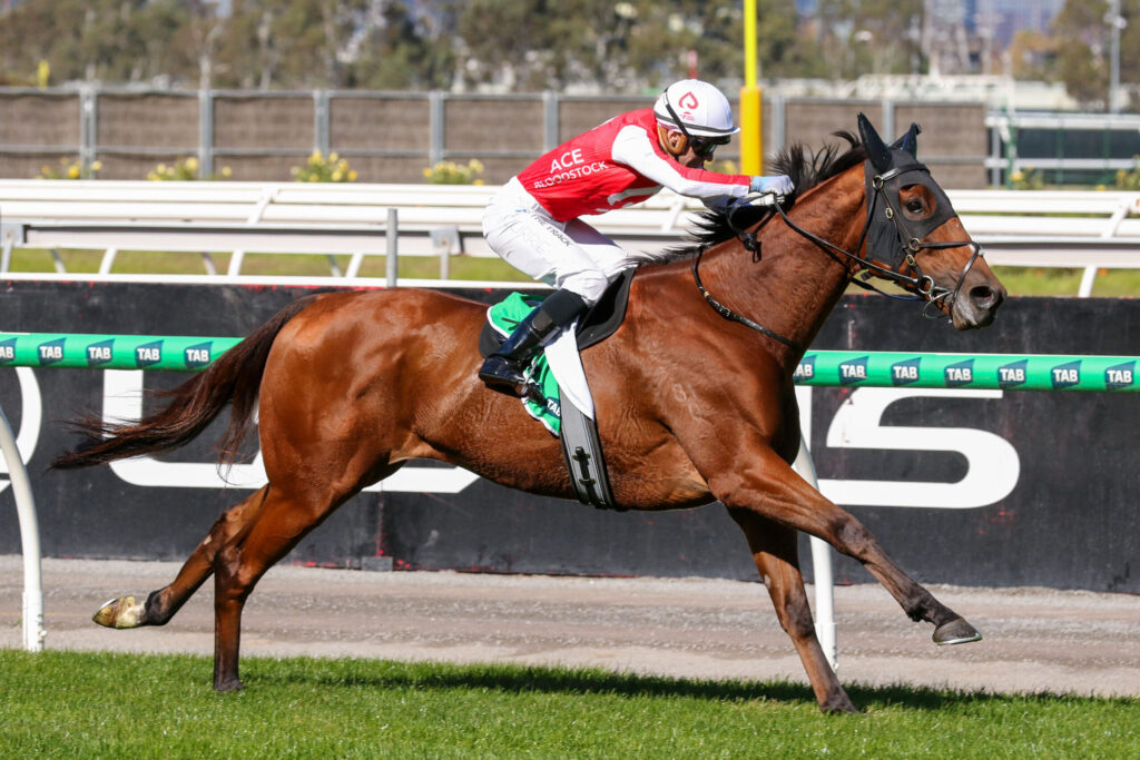 Jockey in red silks and a white helmet hunched over a fast brown racehorse during a sprint on the track.