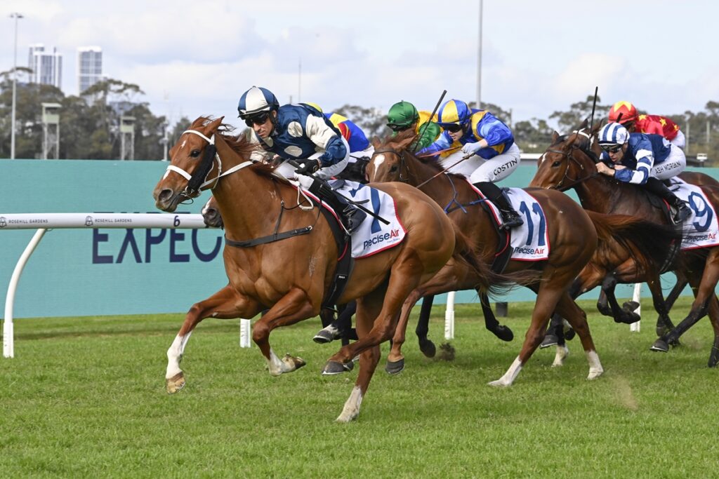 Stadium-style horse race: a chestnut horse leads a group of galloping thoroughbreds on a green turf track, jockeys in blue and white silks ahead.