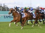 Stadium-style horse race: a chestnut horse leads a group of galloping thoroughbreds on a green turf track, jockeys in blue and white silks ahead.
