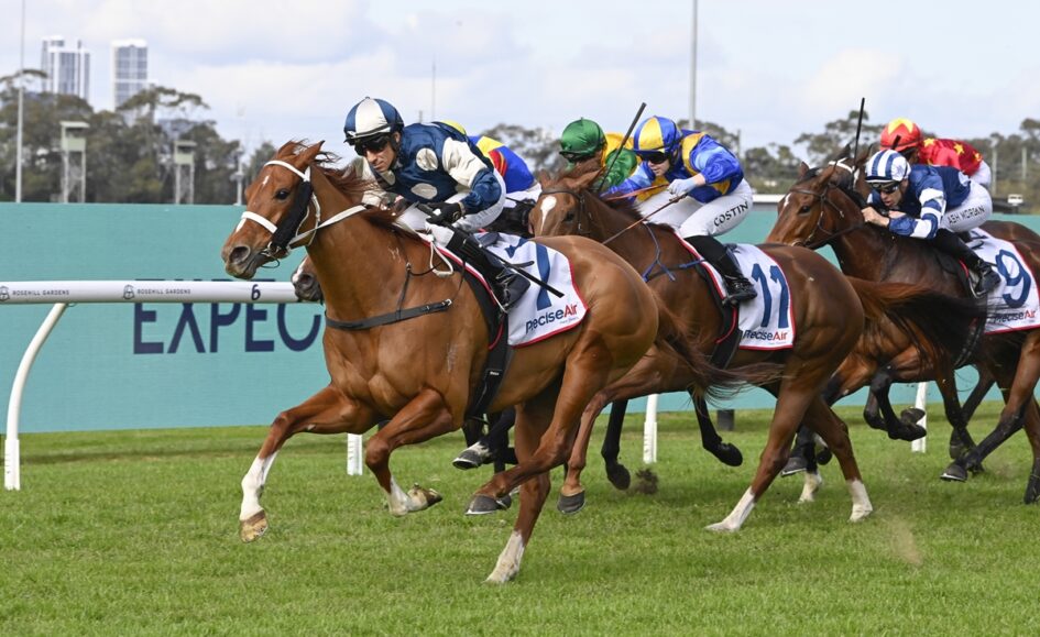 Stadium-style horse race: a chestnut horse leads a group of galloping thoroughbreds on a green turf track, jockeys in blue and white silks ahead.