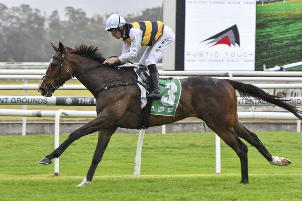 Horse and jockey in striped yellow-and-black silks riding a dark bay horse #3 during a race on a grassy track.