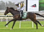 Horse and jockey in striped yellow-and-black silks riding a dark bay horse #3 during a race on a grassy track.