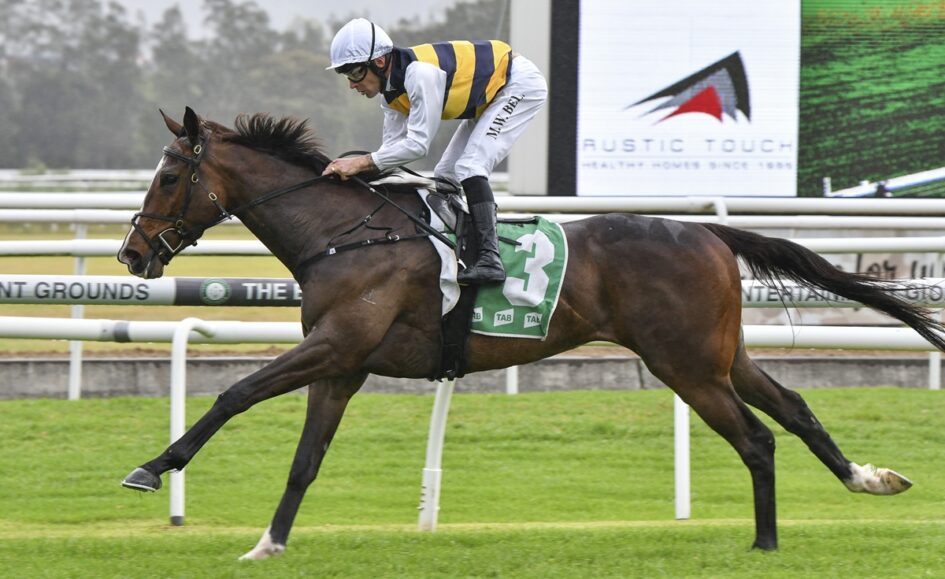Horse and jockey in striped yellow-and-black silks riding a dark bay horse #3 during a race on a grassy track.