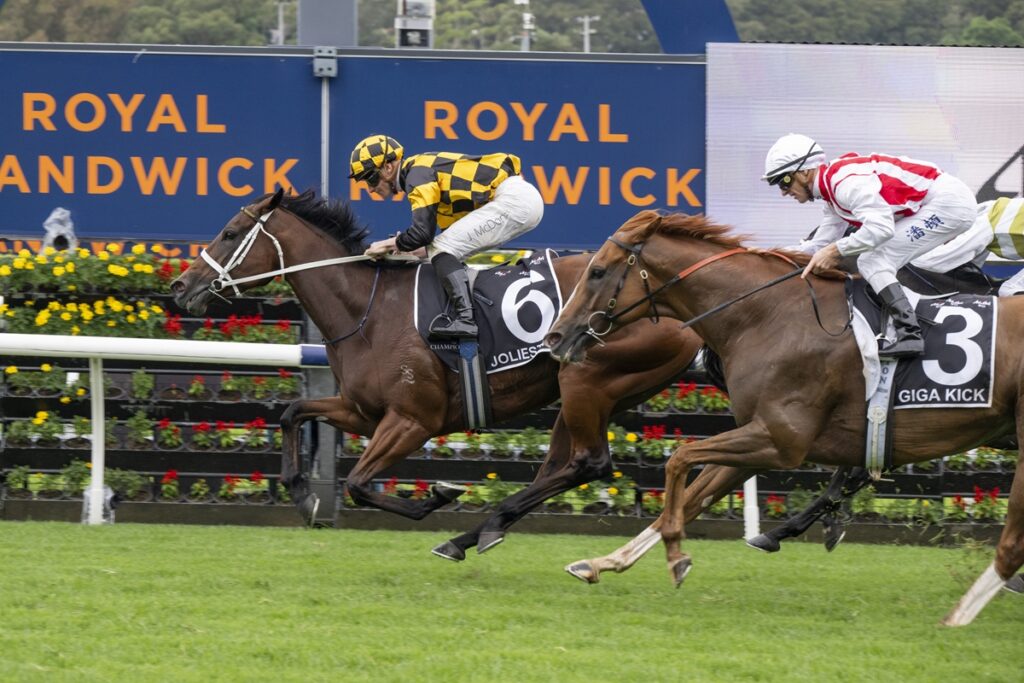 Jockey in yellow-black checkered silks rides a dark horse mid-race with another rider in white-red behind, at a Royal Randwick track.