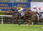 Jockey in yellow-black checkered silks rides a dark horse mid-race with another rider in white-red behind, at a Royal Randwick track.