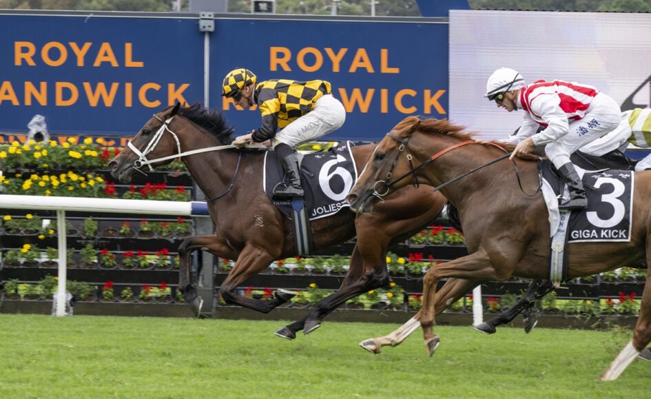 Jockey in yellow-black checkered silks rides a dark horse mid-race with another rider in white-red behind, at a Royal Randwick track.