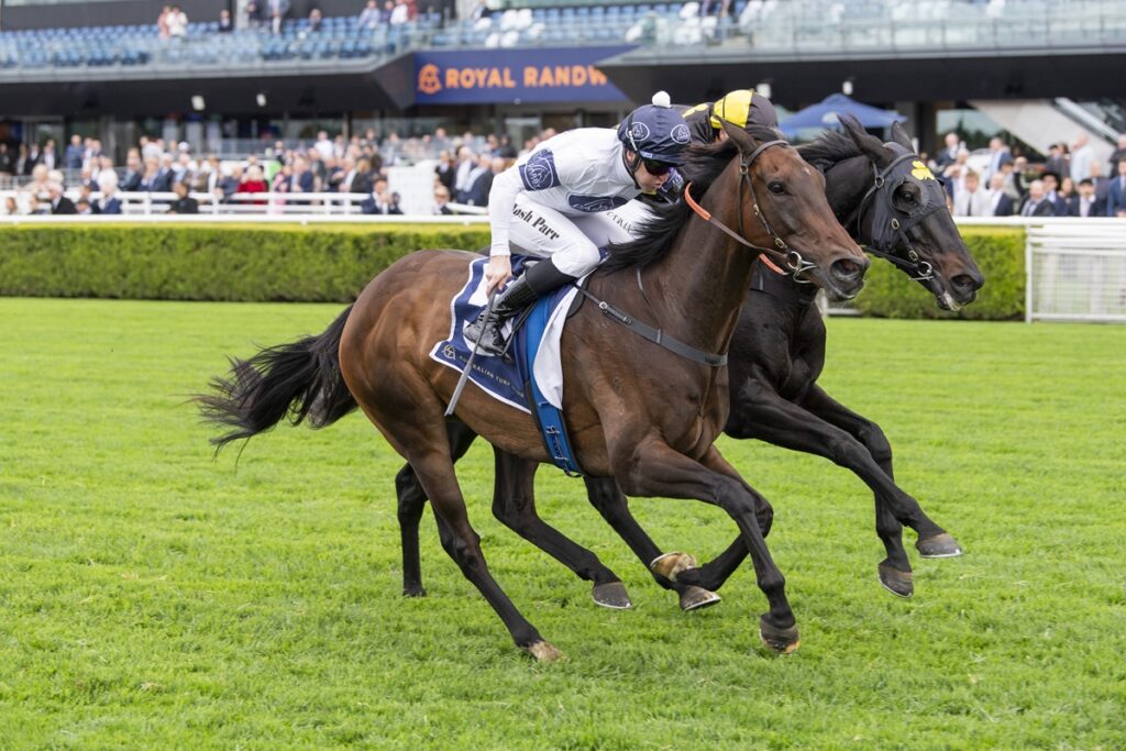 Two jockeys race on thoroughbred horses on a green turf with a crowd in the stands behind them.