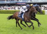 Two jockeys race on thoroughbred horses on a green turf with a crowd in the stands behind them.