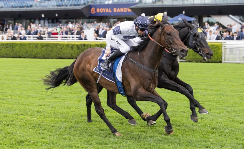 Two jockeys race side by side on galloping horses across a grassy track with a cheering crowd in the background.