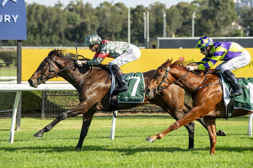 Two jockeys race side by side on galloping horses on a grassy racetrack, with a bright yellow barrier in the background.
