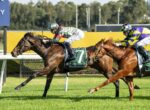 Two jockeys race side by side on galloping horses on a grassy racetrack, with a bright yellow barrier in the background.