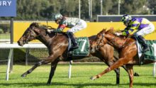 Two jockeys race side by side on galloping horses on a grassy racetrack, with a bright yellow barrier in the background.