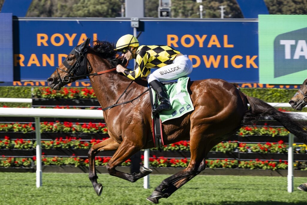 Horse race in full sprint with jockey on brown horse, wearing yellow-and-black checkered silks, at a Royal Randwick track show