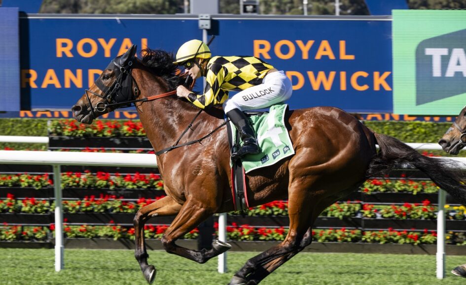 Horse race in full sprint with jockey on brown horse, wearing yellow-and-black checkered silks, at a Royal Randwick track show