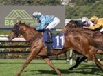 Jockey in blue silks rides a chestnut horse with blue numbered 11 saddle cloth, leading a sprint at a racecourse.