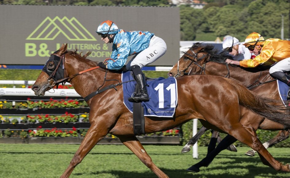 Jockey in blue silks rides a chestnut horse with blue numbered 11 saddle cloth, leading a sprint at a racecourse.