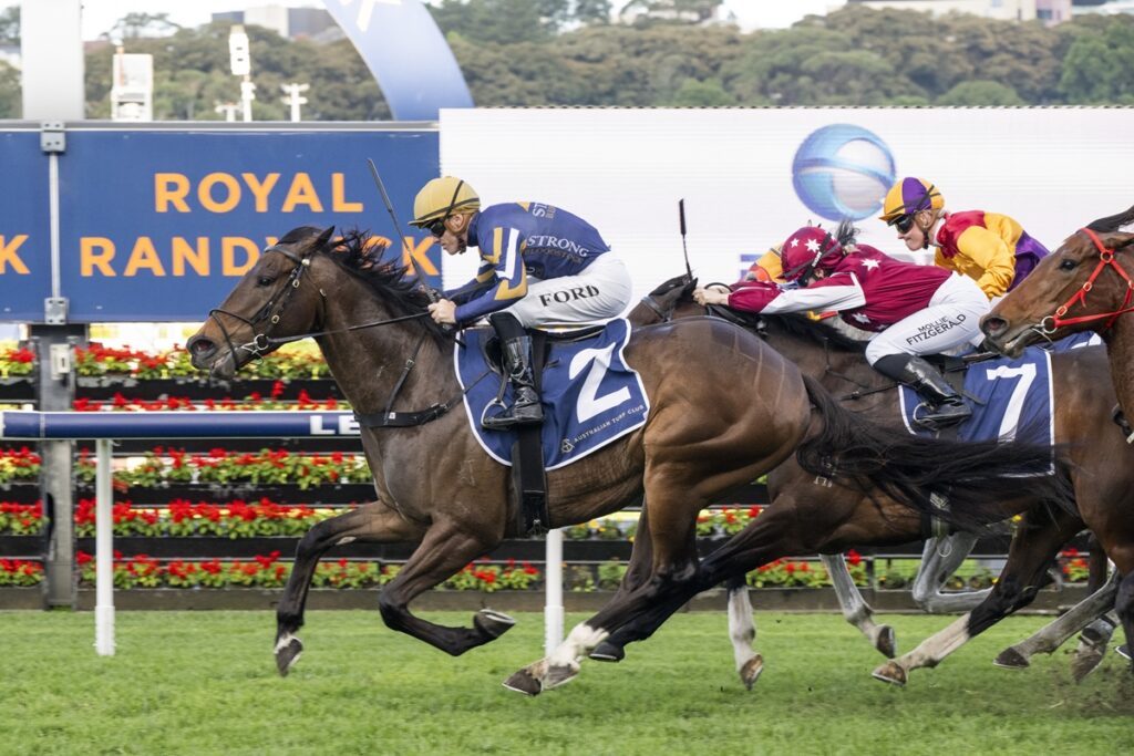 Leading horse and jockey in blue/yellow silks, wearing number 2, sprint toward the finish on a green racecourse.