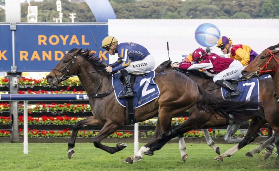 Leading horse and jockey in blue/yellow silks, wearing number 2, sprint toward the finish on a green racecourse.