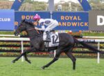 Black horse and jockey in white silks race at Royal Randwick, number 12 saddlecloth visible on the horse's side to spectators and cameras
