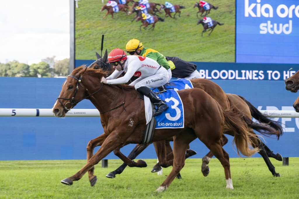 Two jockeys race on competing brown horses near a blue barrier during a horse race, leading with #3 saddle cloth visible.