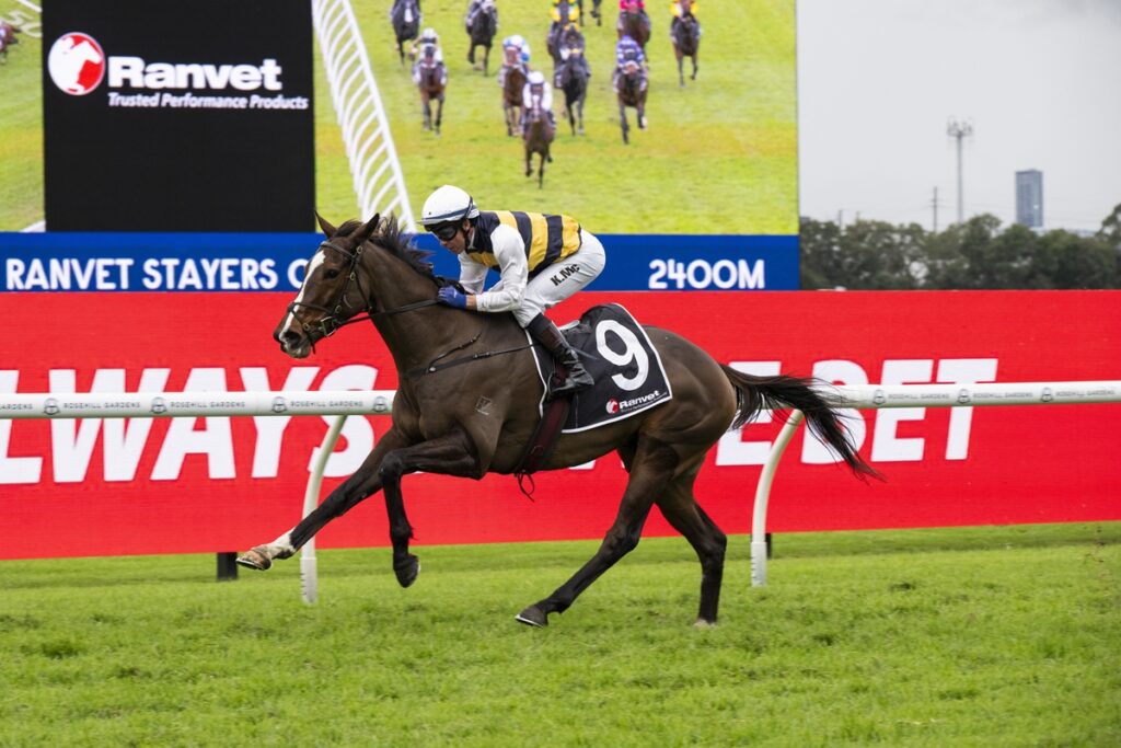 Horse and jockey (#9) racing on a green track with a red advertising barrier in the foreground and a large screen in the background showing race imagery