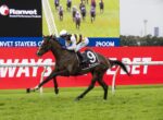 Horse and jockey (#9) racing on a green track with a red advertising barrier in the foreground and a large screen in the background showing race imagery