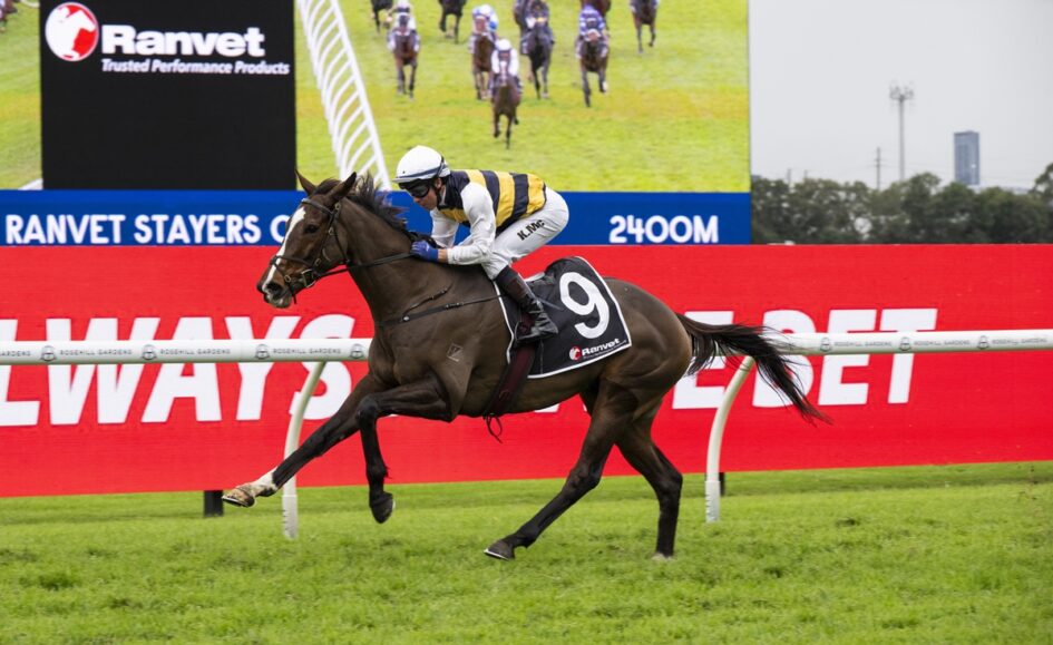 Horse and jockey (#9) racing on a green track with a red advertising barrier in the foreground and a large screen in the background showing race imagery