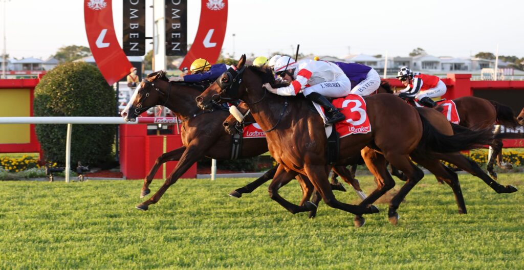 Jockeys in colorful silks race side by side on a sunlit grassy track, with red rails and banners in the background.