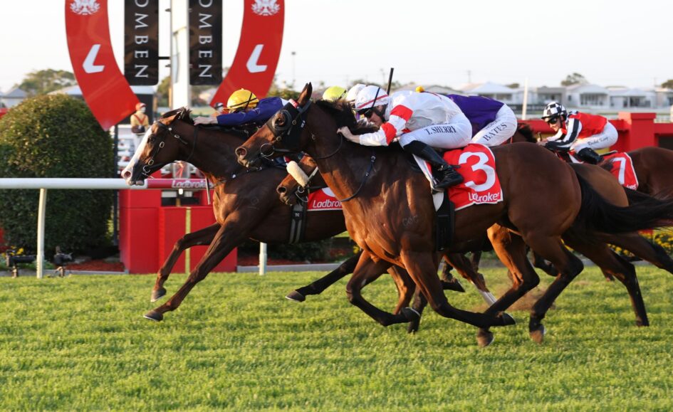 Jockeys in colorful silks race side by side on a sunlit grassy track, with red rails and banners in the background.