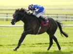 Jockey in blue silks on a dark horse racing at full speed on a grassy track.