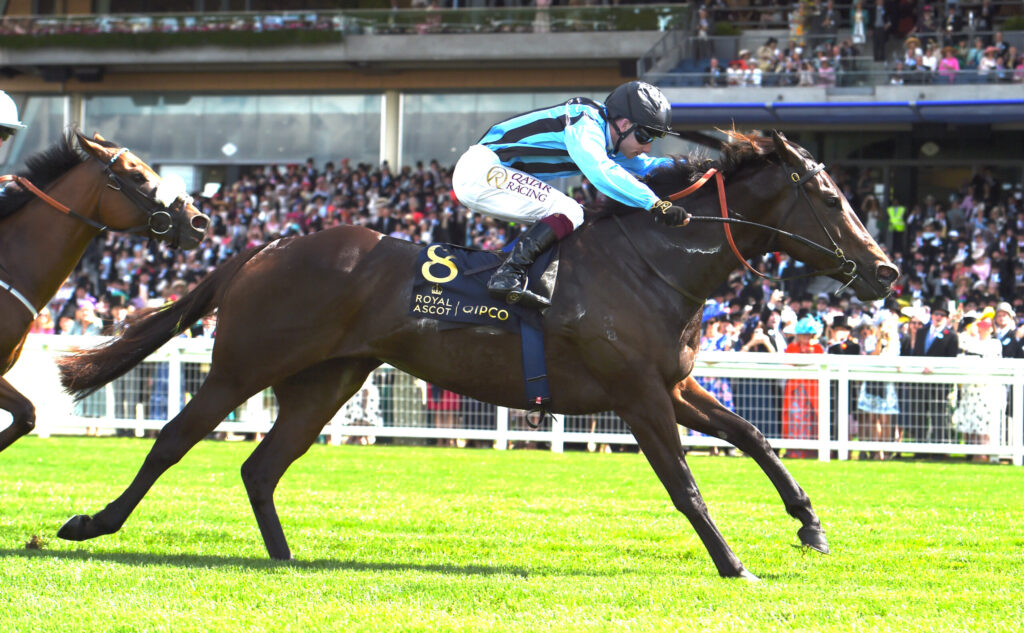 Jockey in blue and black stripes rides a dark horse during a crowded race track finish.